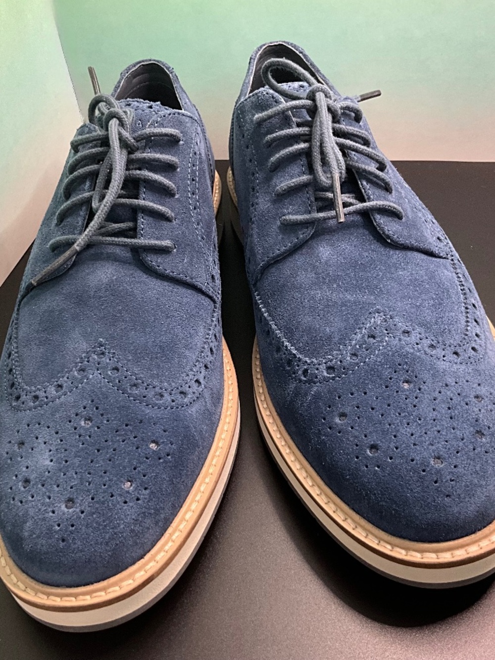 Cole Haan Blue Suede Morse Grand Wingtip Oxfords. NWOT US Men’s 10.5